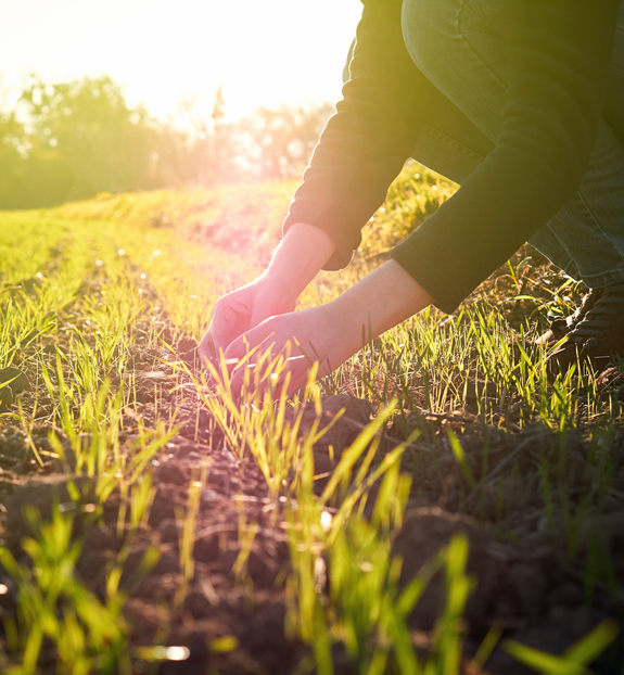 solutions agricoles beaucaire