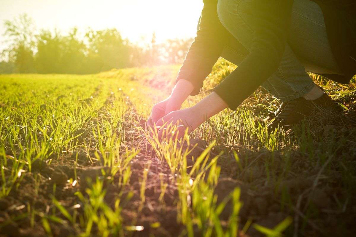 agriculture durable beaucaire